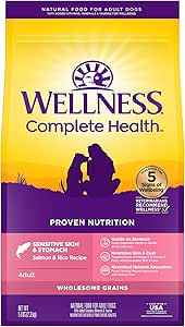 Wellness Complete Health Dry Dog Sensitive Skin & Stomach Salmon & Rice Adult
