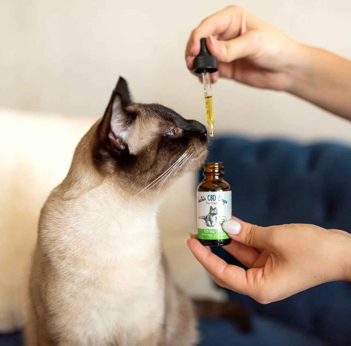 Suzie's CBD Drops For Cats, 125mg (10oz)