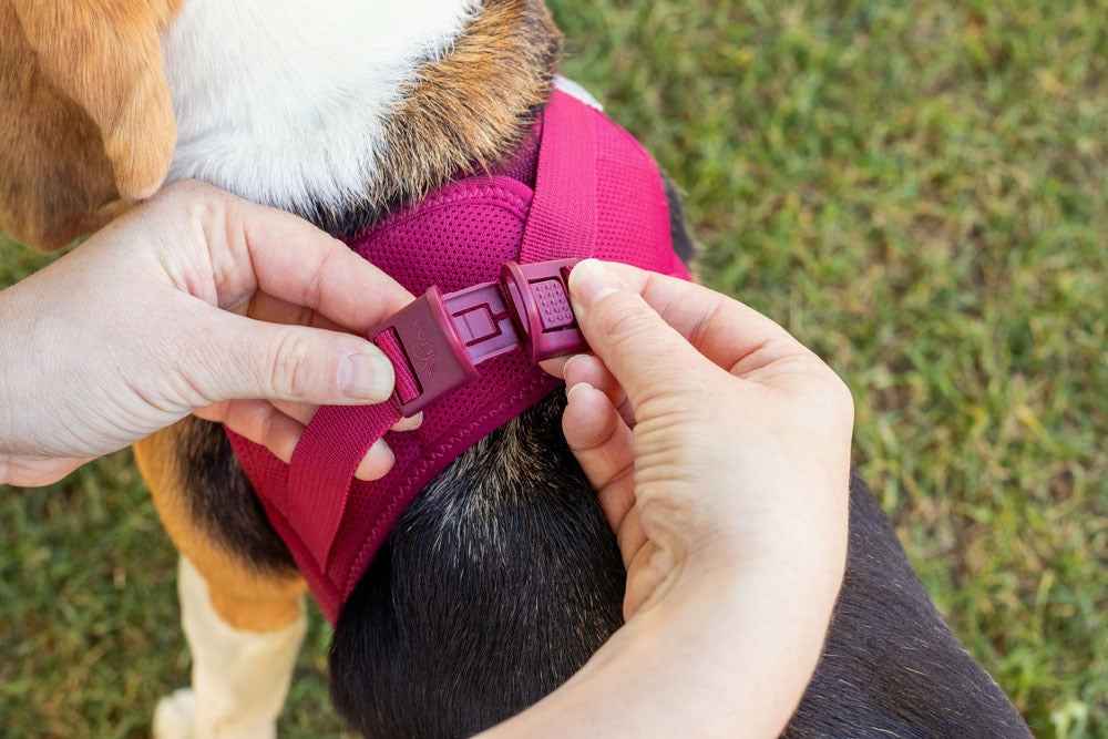 Curli Air Mesh Clasp Tan Vest Harness