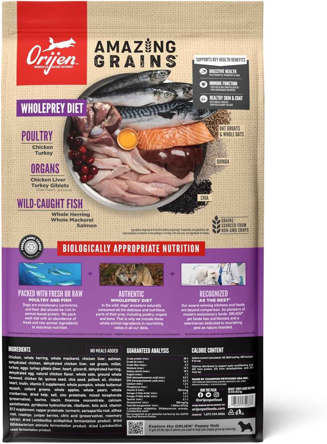 Orijen Amazing Grains Puppy Large Breed Dry Dog Food (22.5lb)