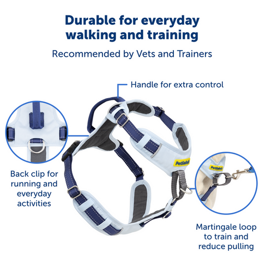 No-Pull Dog Harness: PetSafe Easy Walk Comfort Harness in Blue for Ultimate Control and Comfort