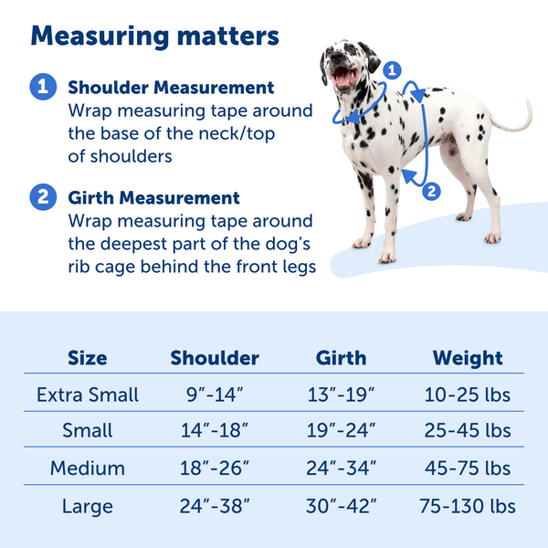 No-Pull Dog Harness: PetSafe Easy Walk Comfort Harness in Blue for Ultimate Control and Comfort