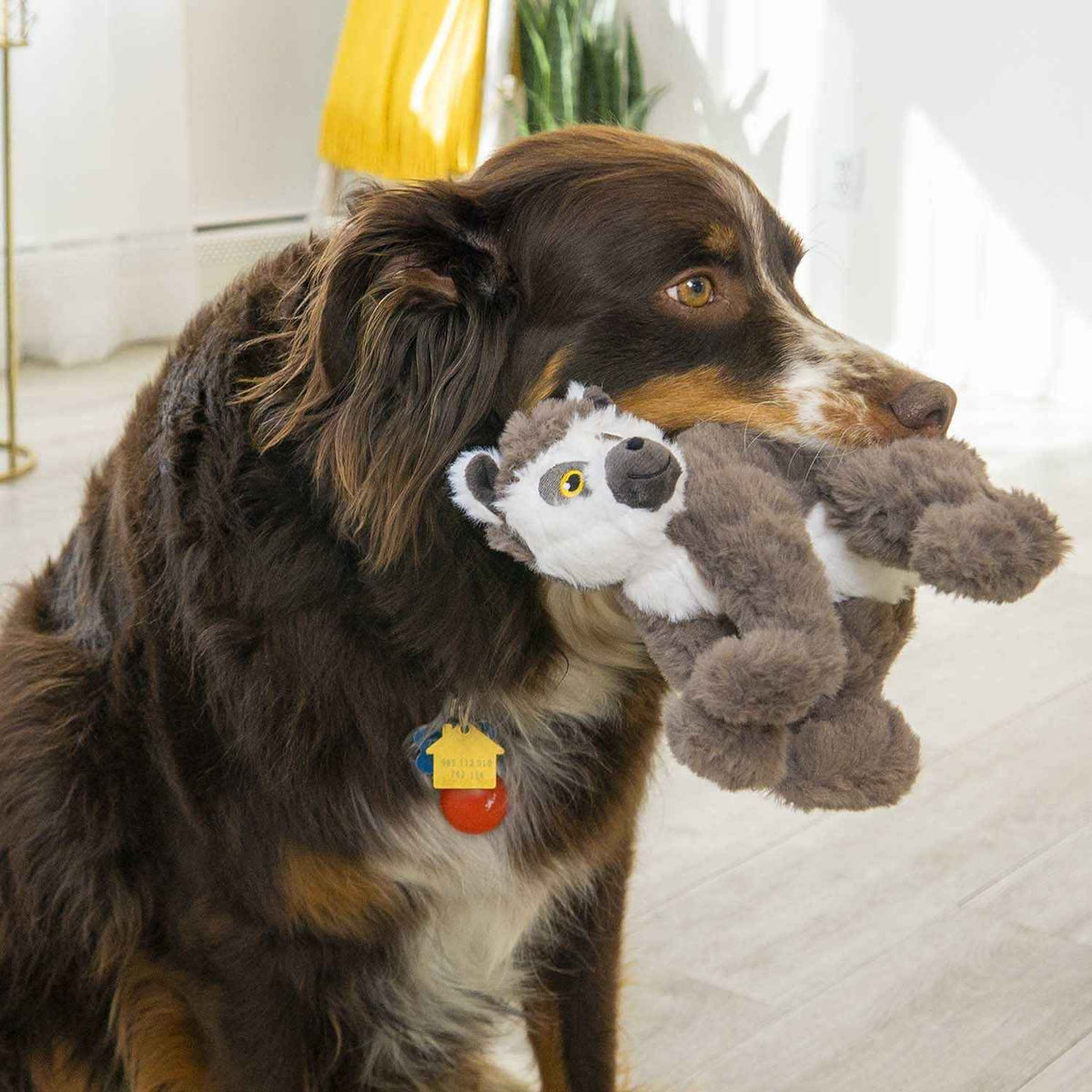 Kong Scampers Lemur Medium for Dogs