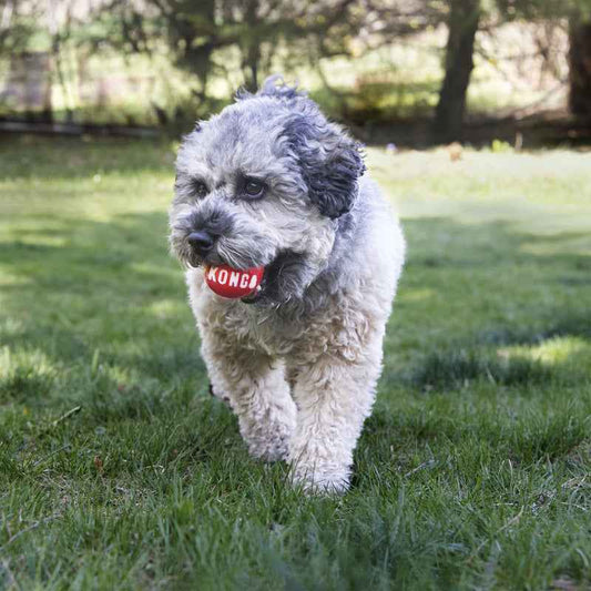 Kong Signature Balls (2pk)