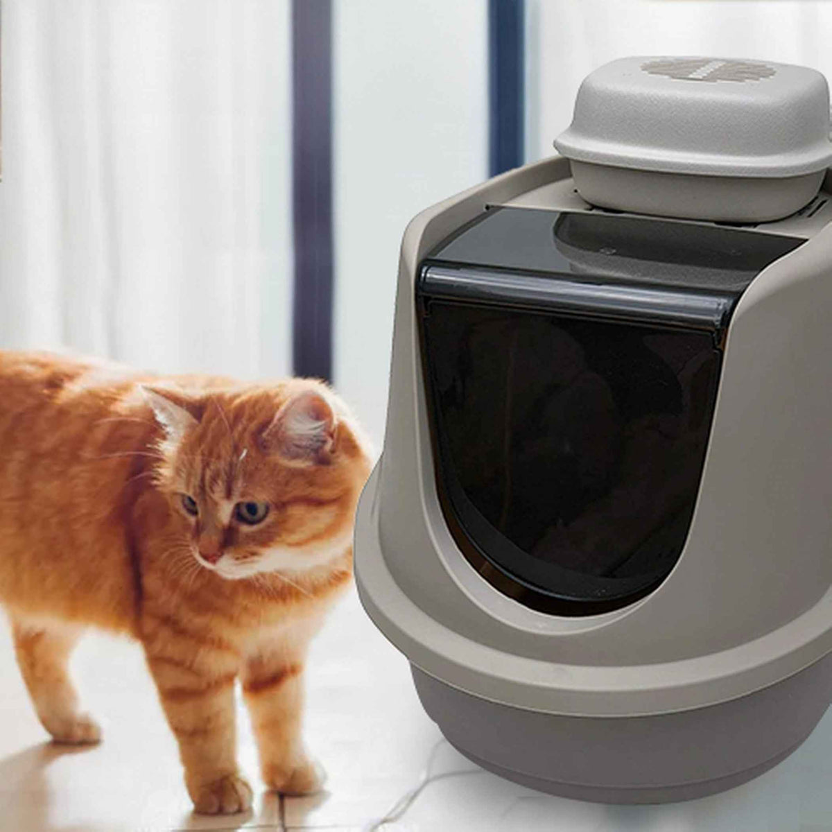 Revolutionize Your Home with the Purrified Air Litter Box Air Purifier