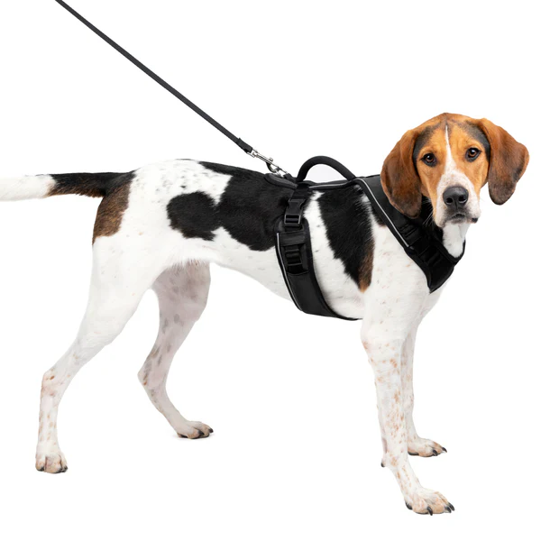 Petsafe Easysport Harness Black Lg
