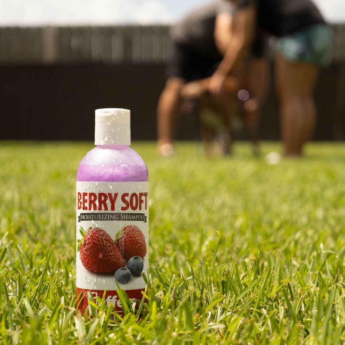Revitalize Your Pet's Coat with Jeffers Pet Moisturizing Shampoo - Creature Comforts