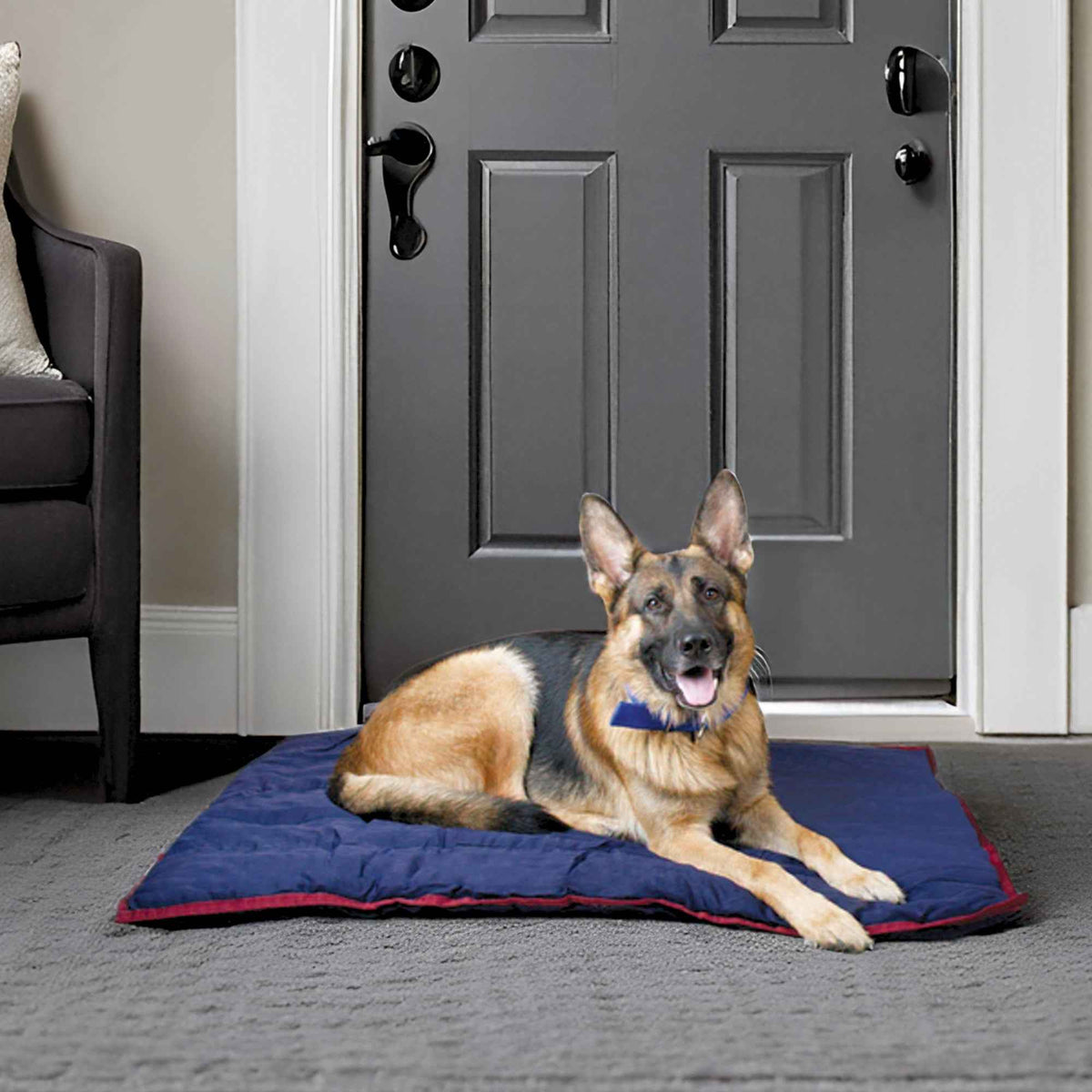 Jeffers Pet Washable Comfy Dog Pillow for Crates, Carriers, or Lounging