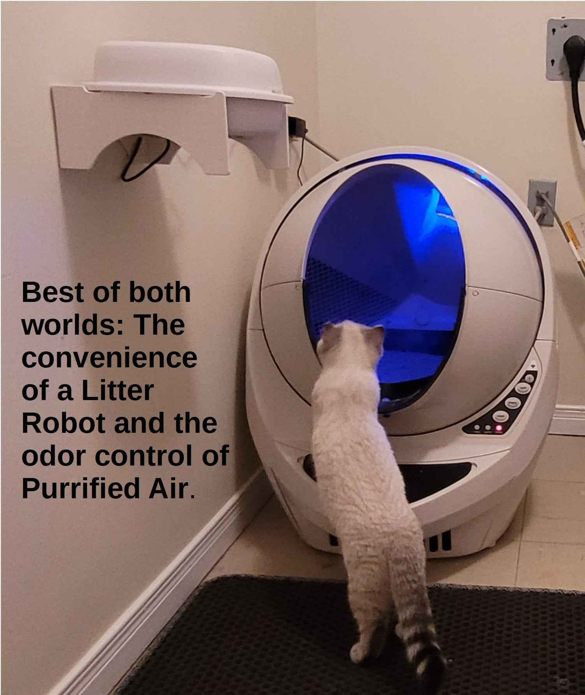 Revolutionize Your Home with the Purrified Air Litter Box Air Purifier