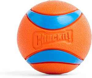 ChuckIt Dog Ultra Ball 1 Pack