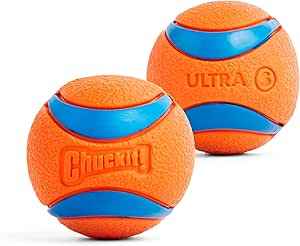 ChuckIt Dog Ultra Ball Small 2 Pack