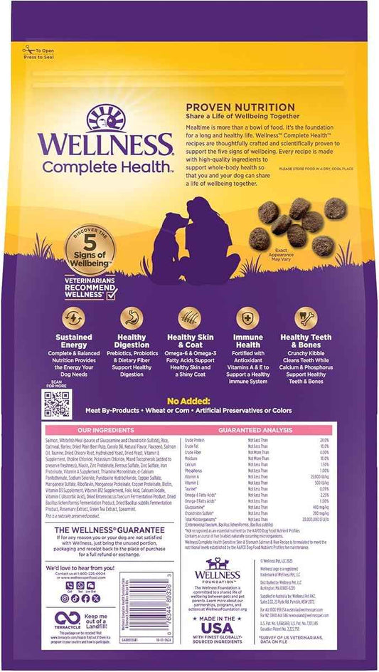 Wellness Complete Health Dry Dog Sensitive Skin & Stomach Salmon & Rice Adult