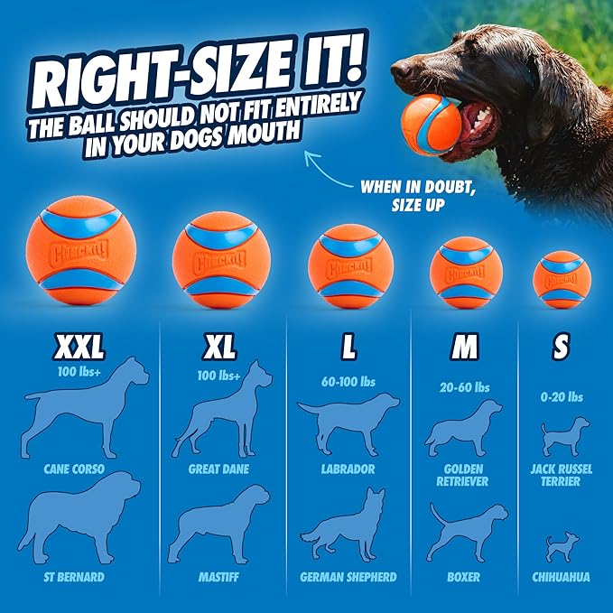 ChuckIt Dog Sport Launcher 26L