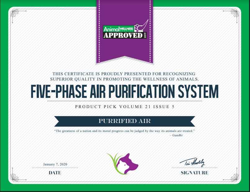 Revolutionize Your Home with the Purrified Air Litter Box Air Purifier