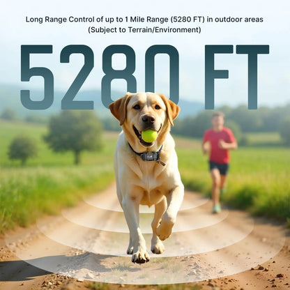 Waterproof Rechargeable Dog Training Collar – 1-Mile Range, 2-Dog System