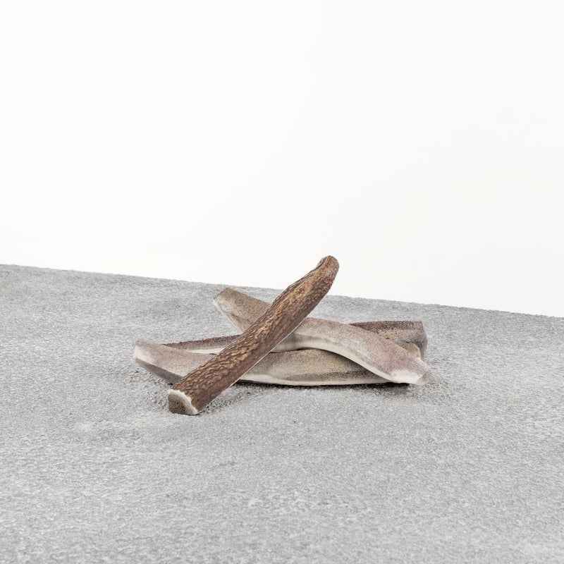 Primal Split Stag Antler