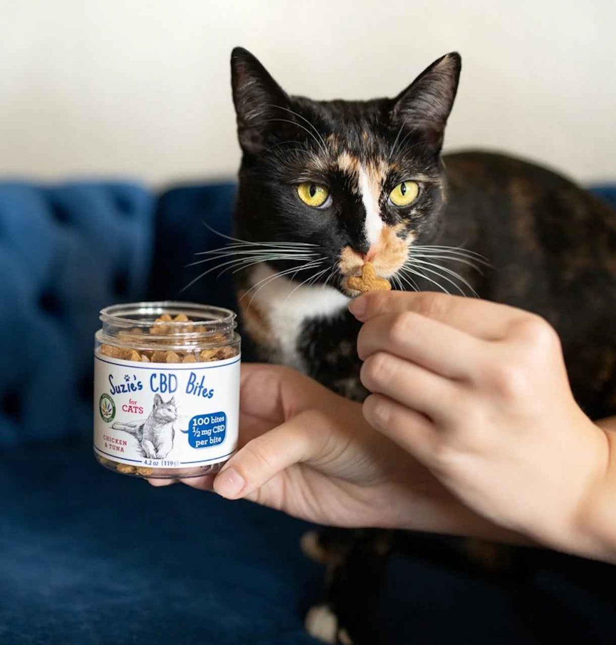 Suzie's CBD Bites For Cats, 2.5mg (4.2oz)