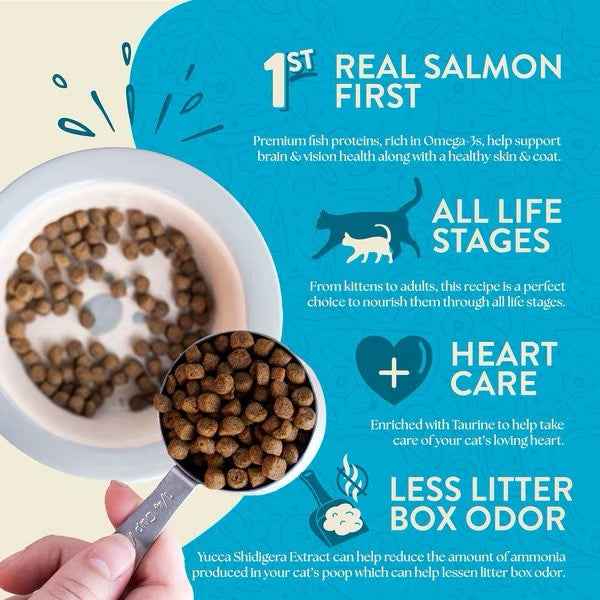 Earthborn Grain Free Wild Sea Catch Dry Cat Food
