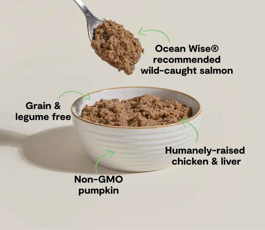 Open Farm Grain Free Chicken & Salmon Pate For Cats (2.8oz)