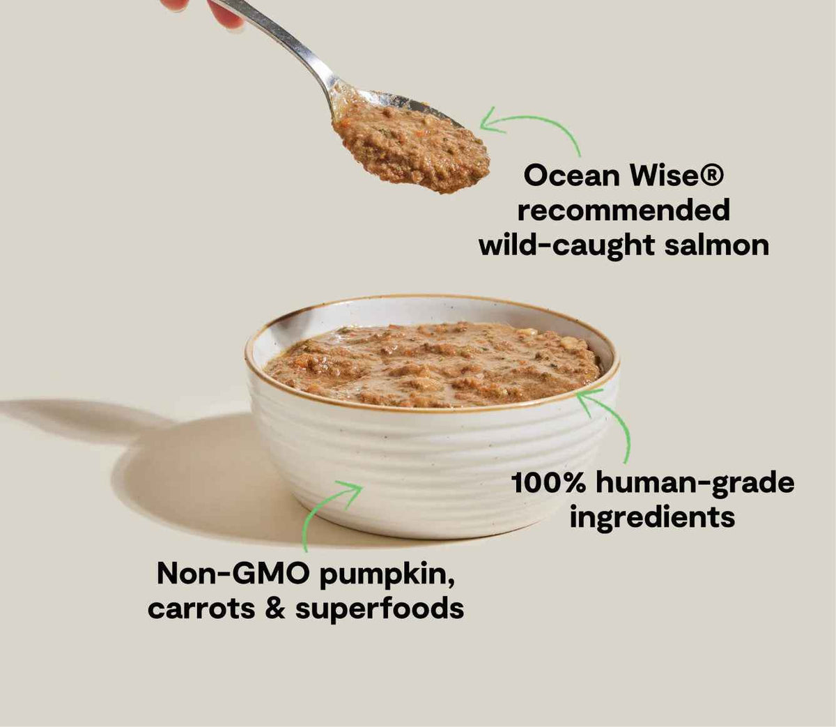 Open Farm Grain Free Wild-Caught Salmon Rustic Blend Wet Cat Food (5.5oz)