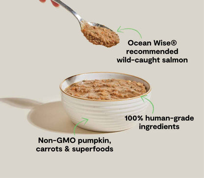 Open Farm Grain Free Wild-Caught Salmon Rustic Blend Wet Cat Food (5.5oz)
