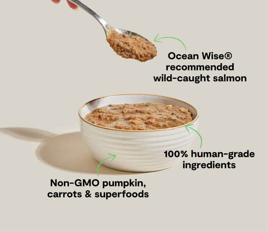 Open Farm Grain Free Wild-Caught Salmon Rustic Blend Wet Cat Food (5.5oz)