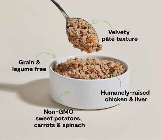 Open Farm Grain Free Chicken Pate Wet Dog Food (12.5oz)