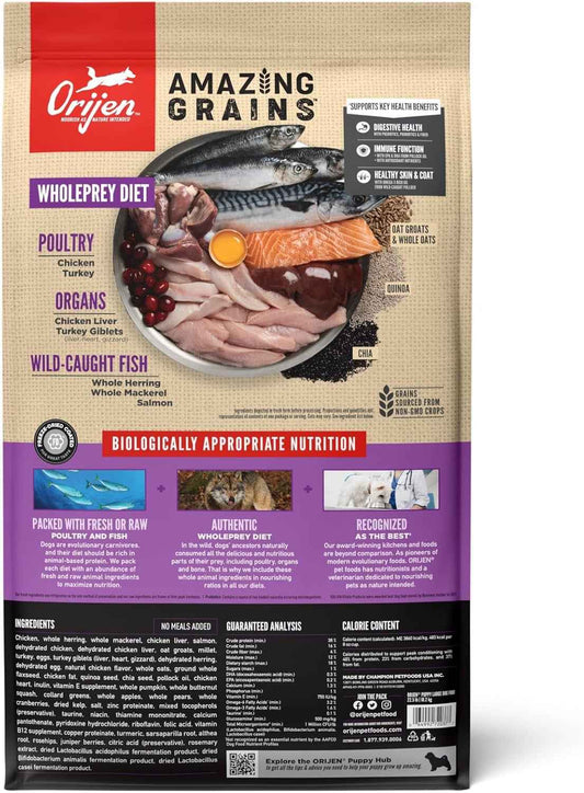 Orijen Amazing Grains Puppy Large Breed Dry Dog Food (22.5lb)