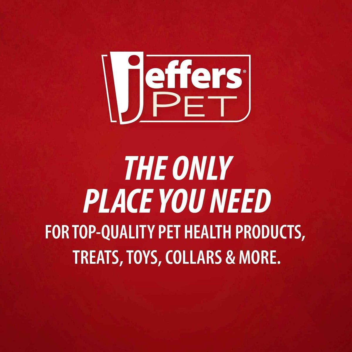Revitalize Your Pet's Coat with Jeffers Pet Moisturizing Shampoo - Creature Comforts