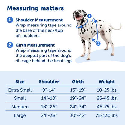 No-Pull Dog Harness: PetSafe Easy Walk Comfort Harness in Blue for Ultimate Control and Comfort