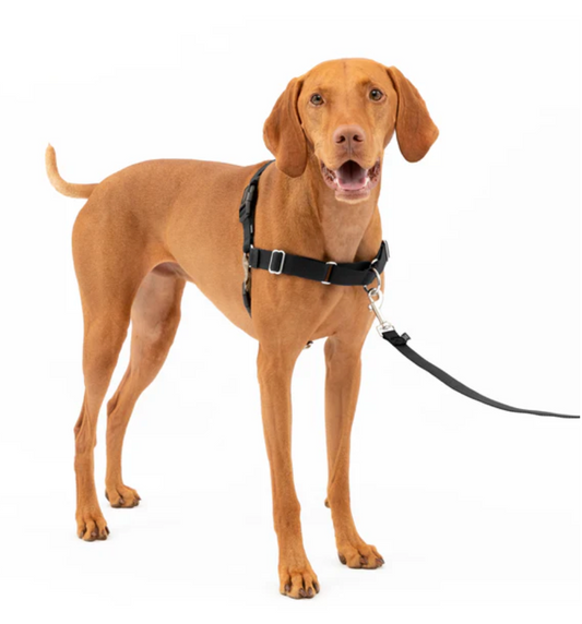 Petsafe Easy Walk Dog Harness Black Medium