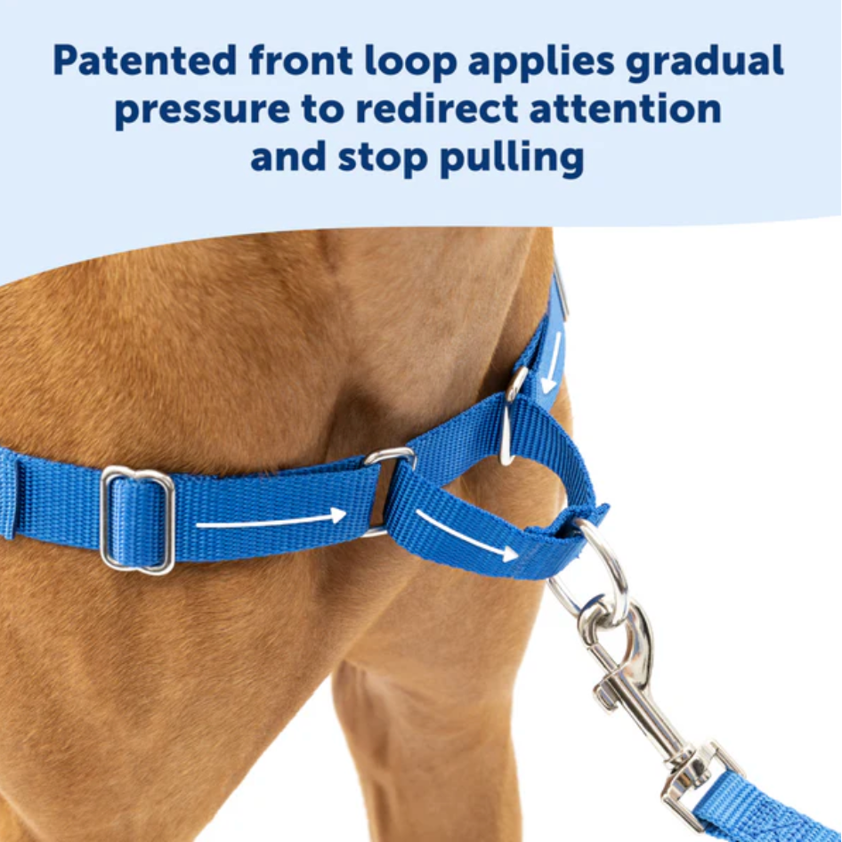 Petsafe Easy Walk Dog Harness Black Large