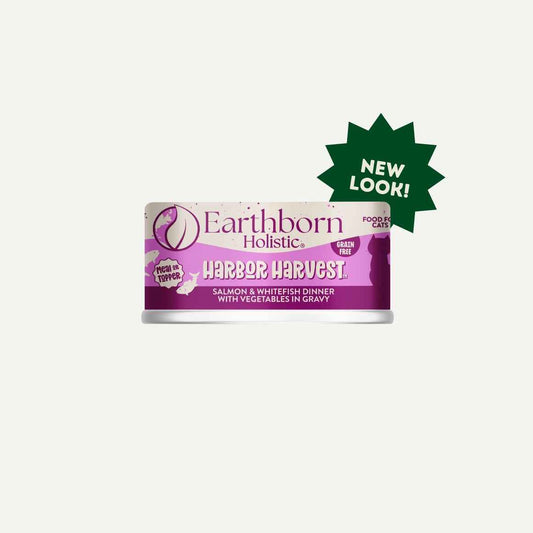 Earthborn Grain Free All Life Stages Harbor Harvest Wet Cat Can