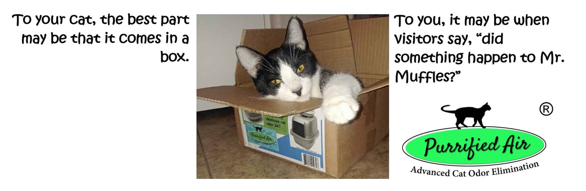 Revolutionize Your Home with the Purrified Air Litter Box Air Purifier